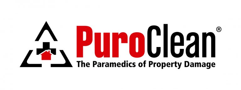 PuroClean Logo Tag 2internet 2 768x287
