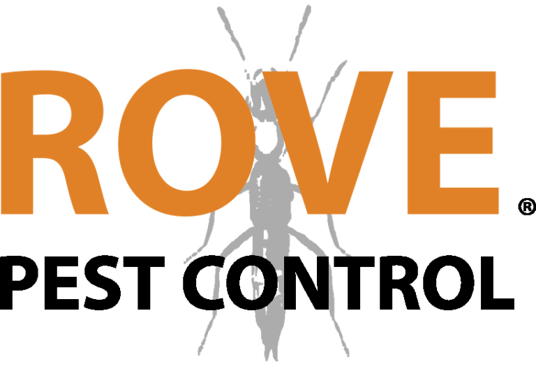 Rove Logo 768x525