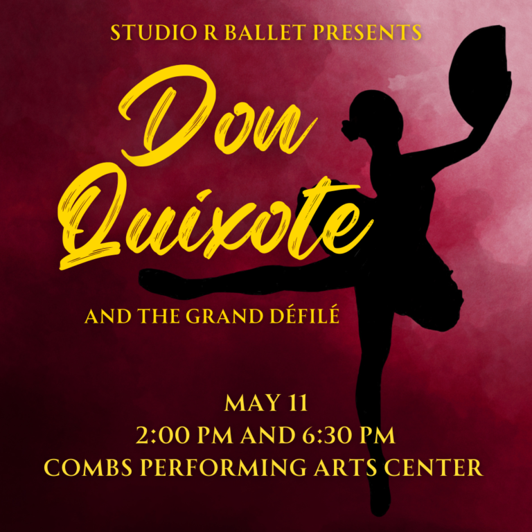 SRB Don Quixote 768x768